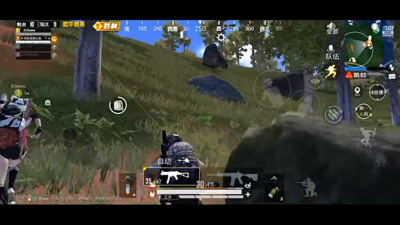 【2022-05-30 00点场】舒心狗：雨林爱好者