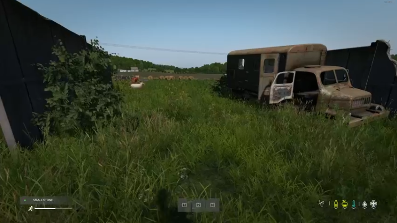 【2022-05-30 15点场】dayz韩爱东西：老韩亡命dayz