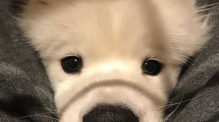 ，