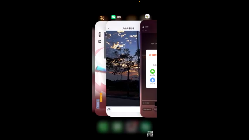 【2022-05-29 22点场】舒心狗：雨林爱好者