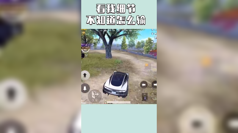 白起：不知道怎么输