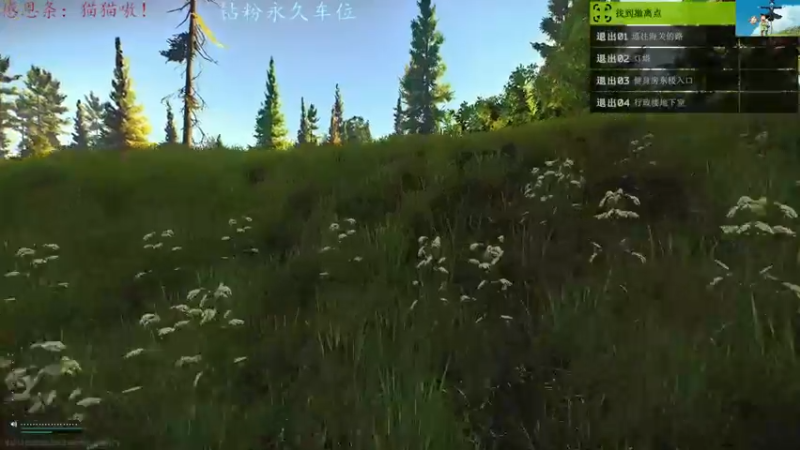 【2022-05-31 17点场】迦南的喃喃呀：萌新专跑scav