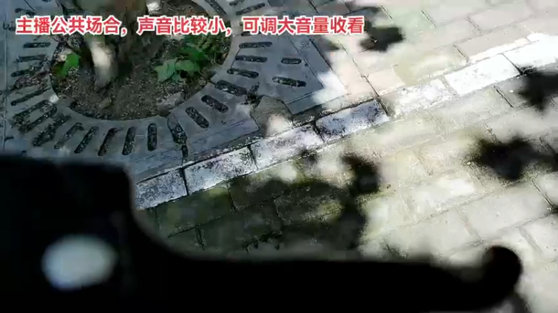 【2022-05-31 13点场】三时小周每娘娘：上海浦东，就播一会儿。出门啦