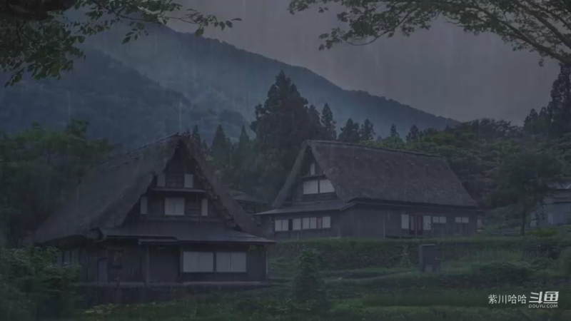 睡着不到 3 分钟和大雨强风雷在雾蒙蒙的森林里在晚上