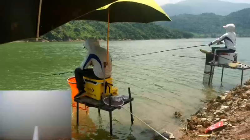【2022-05-31 11点场】中华户外钓鱼：通山钓黄尾
