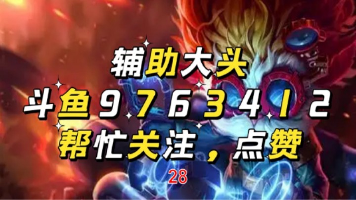 辅助大头28