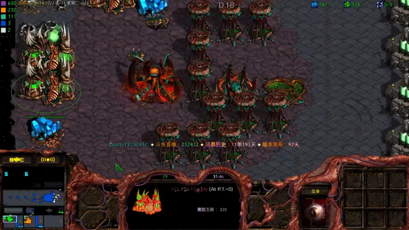 【2022-05-31 05点场】星际DSA联赛：天使風暴™️專業版