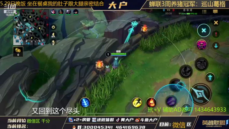 【2022-05-30 14点场】大户呀：学辅助 斗鱼搜大户！