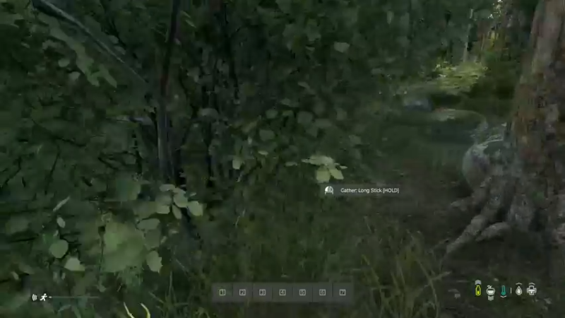 【2022-05-31 15点场】dayz韩爱东西：老韩亡命dayz