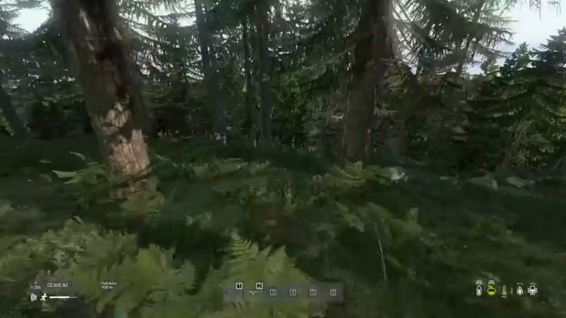 【2022-06-01 15点场】dayz韩爱东西：老韩亡命dayz