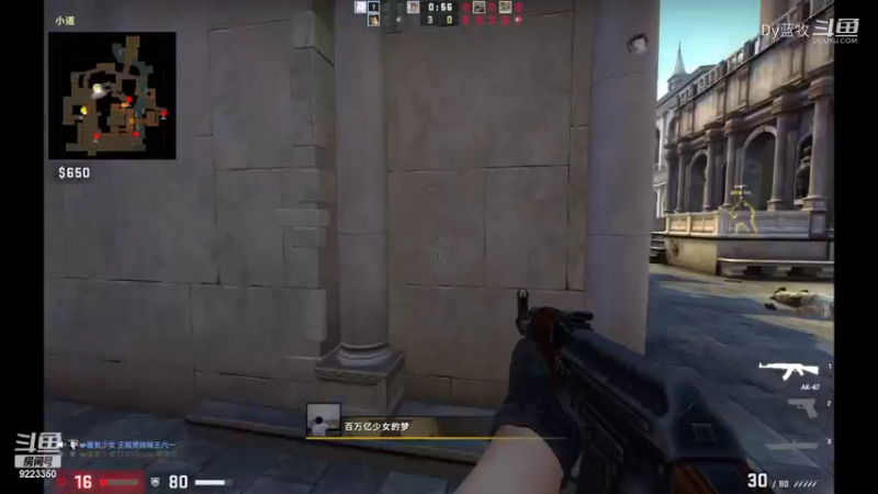CS:GO(13)