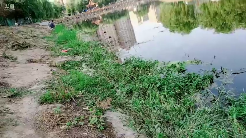 【2022-06-01 17点场】郑伟丶：恭喜RNG喜提冠军