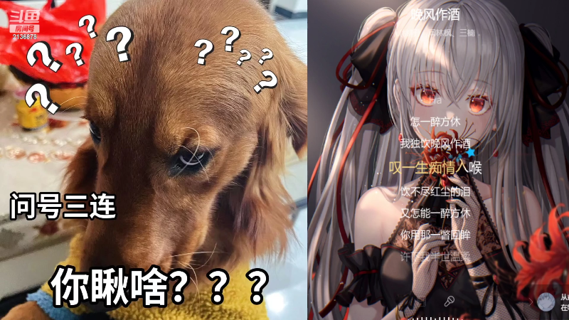 【颜值（横屏）】仔仔呐Zz的精彩时刻 20220601 22点场