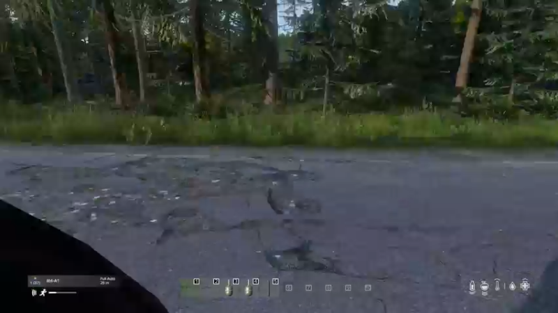 【2022-05-31 19点场】dayz韩爱东西：老韩亡命dayz