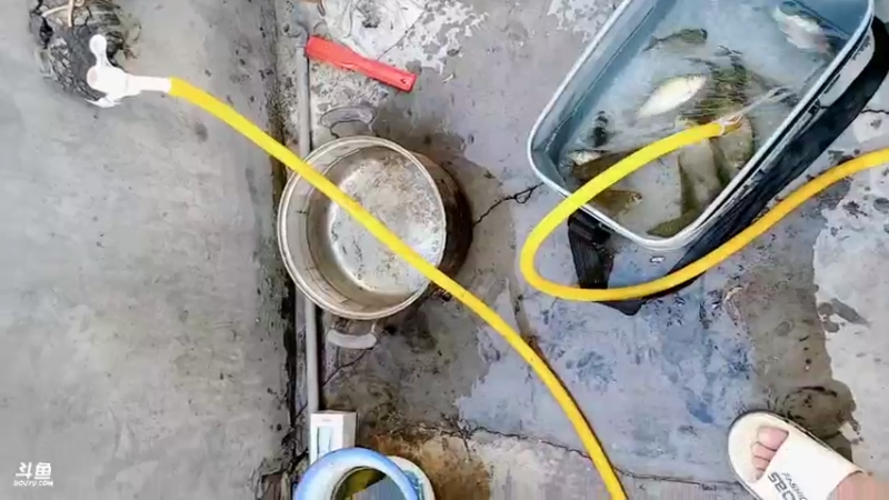 【2022-06-01 16点场】郑伟丶：恭喜RNG喜提冠军