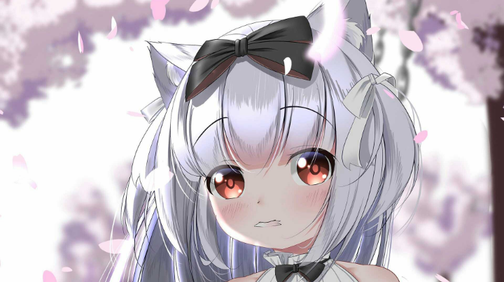 直播录像