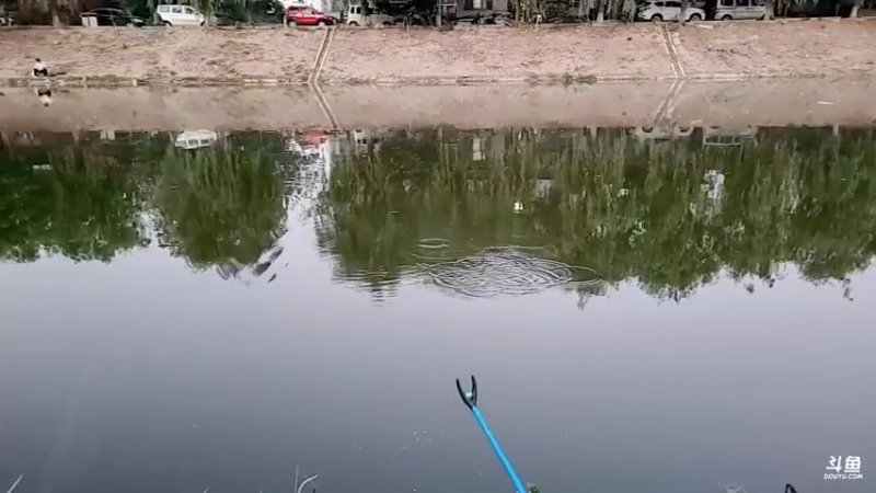 【2022-06-01 19点场】郑伟丶：恭喜RNG喜提冠军