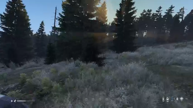 【2022-06-02 17点场】dayz韩爱东西：老韩亡命dayz