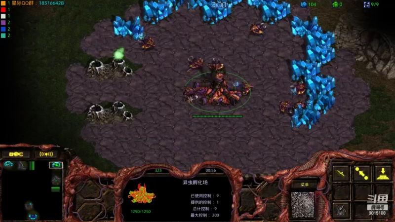 VS_Wy_Rush随机3v3