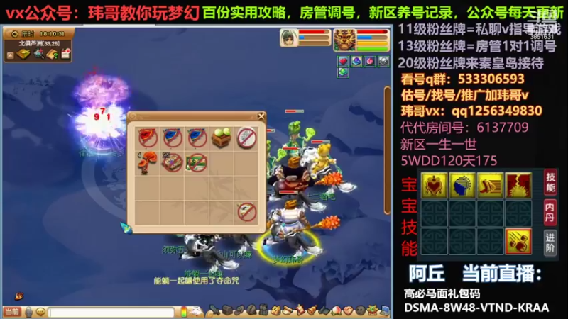 【2022-06-01 18点场】玮哥爱梦幻：北2一生一世120天175-送攻略
