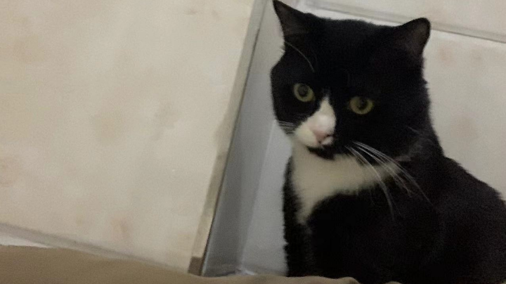 缺氧第一步眼冒金星