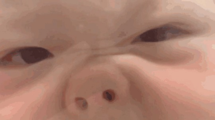 森林