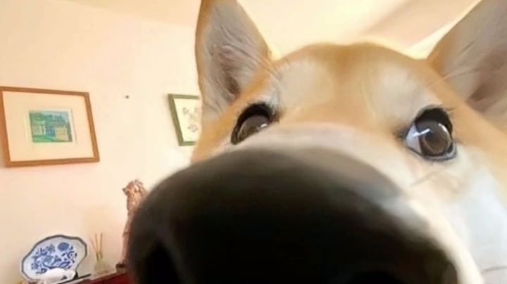 今天手气不错，干干干