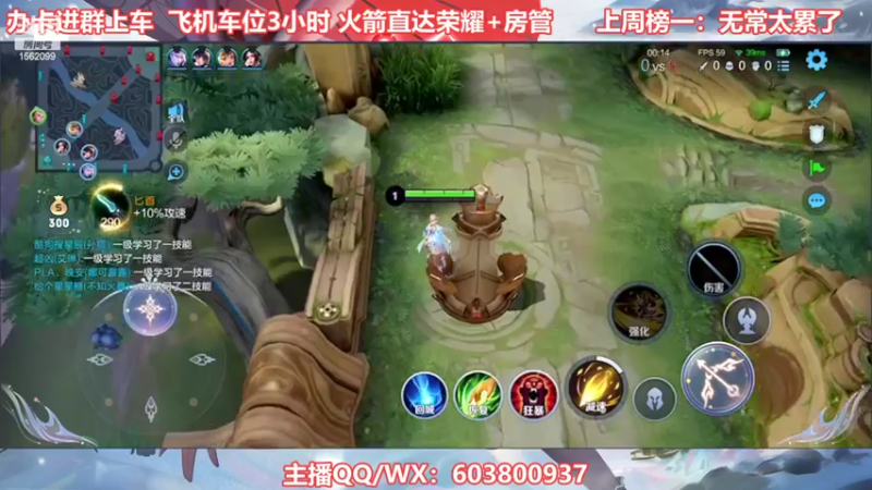 【2022-06-01 21点场】梦魇Ali：国服公孙离艾琳有车位