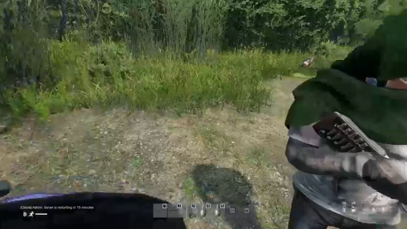 【2022-06-03 11点场】dayz韩爱东西：老韩亡命dayz