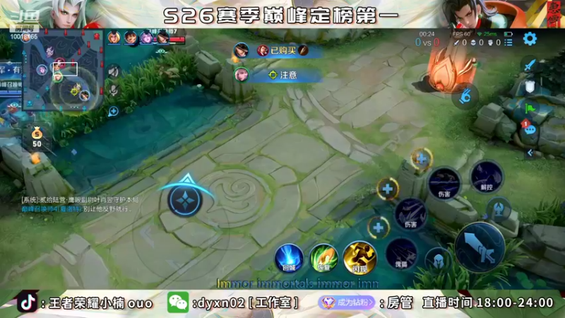 【2022-06-02 21点场】小楠ouo：巅峰冲第一 10018165