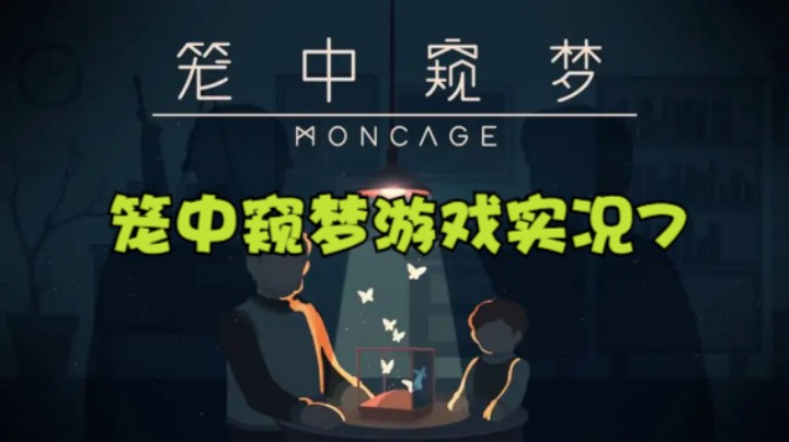 笼中窥梦游戏实况7