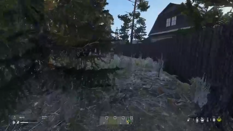 【2022-06-03 19点场】dayz韩爱东西：老韩亡命dayz