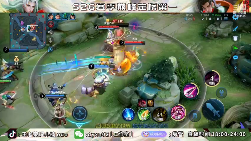 【2022-06-04 00点场】小楠ouo：巅峰冲第一 10018165