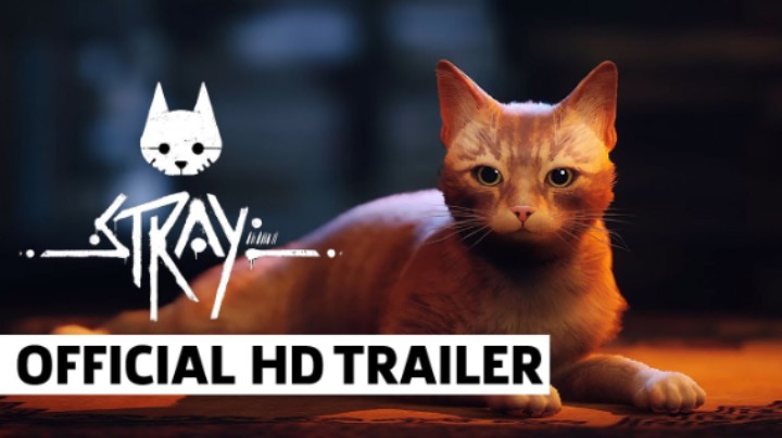 未来游戏预告 《Stray》