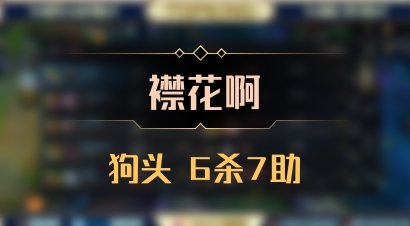 【襟花啊】狗头 6杀7助