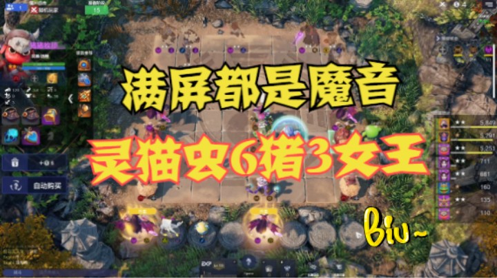 灵猫猪虫6猪猪3女王——阿祖收手吧！场上全是女王