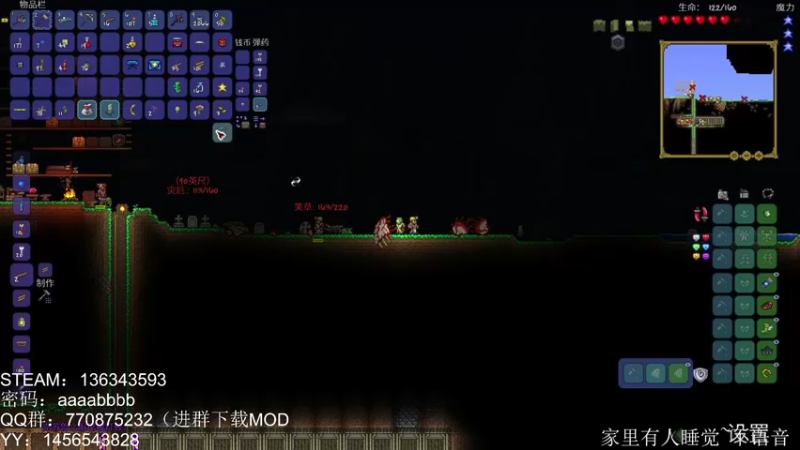二刷灾厄泰拉瑞亚，新体验新体会——002
