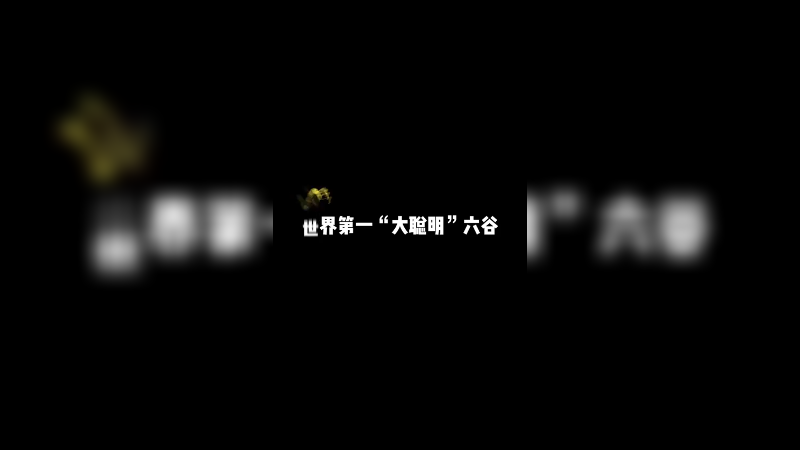 到底是我的问题 还是六谷问题