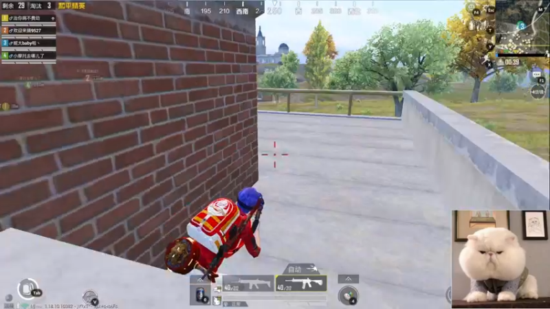 【2022-06-04 21点场】图妹半生：纵你阅人何其多，终无一人恰似我