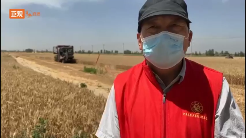 【2022-06-06 11点场】斗鱼综合：机械轰鸣 奏响麦田里的丰收曲！
