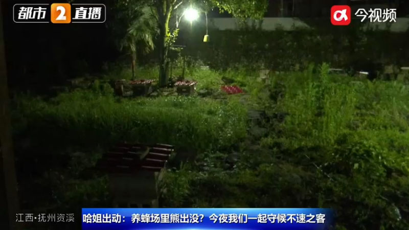 【2022-05-30 03点场】斗鱼综合：哈姐出动：养蜂场里熊出没？！