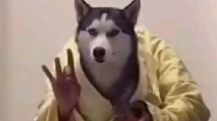 开始士官长合集