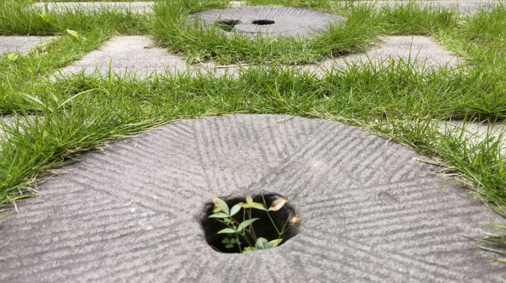 穆鲁