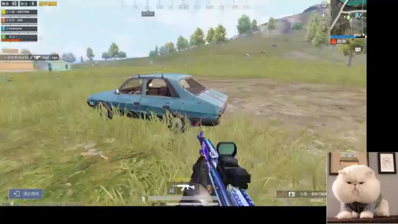 【2022-06-04 17点场】图妹半生：纵你阅人何其多，终无一人恰似我