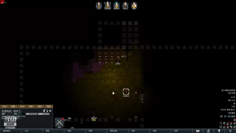 【2022-06-02 18点场】老旷的传奇一生：忧伤的暗黑雨林之豹影森森