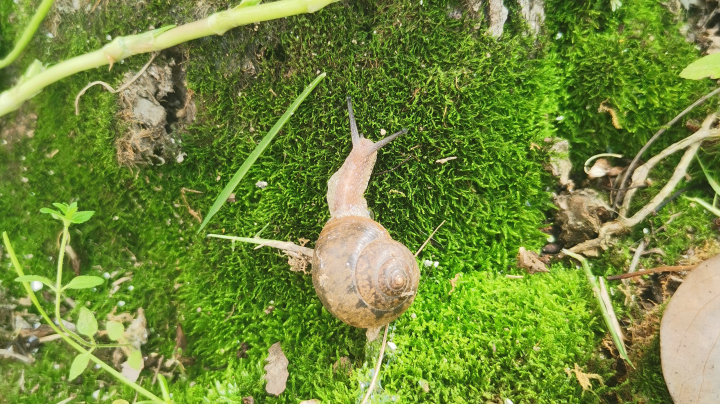 直播日常