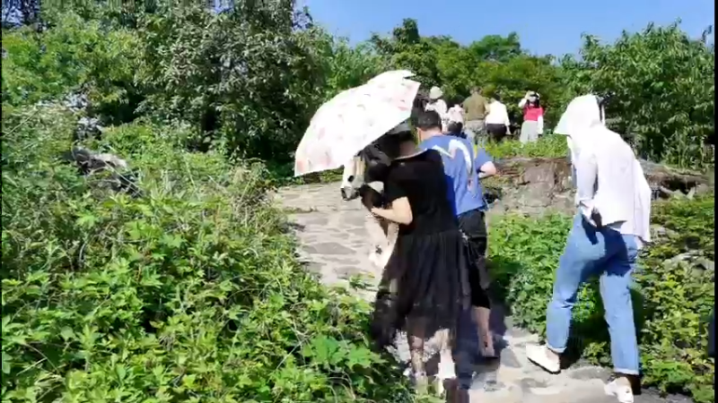 【2022-06-07 15点场】政达光明：巍巍三峡系列活动