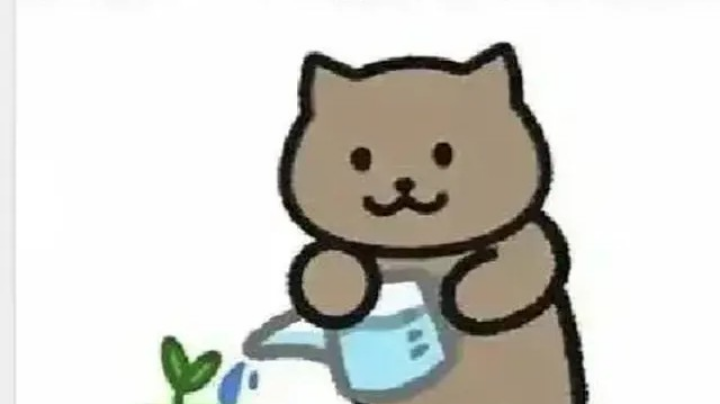 弹弹堂