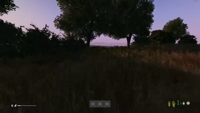 【2022-06-06 20点场】dayz韩爱东西：老韩亡命dayz