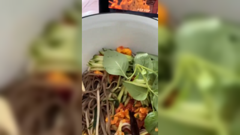 我可能领回来的不是一只猫，而是一只狗